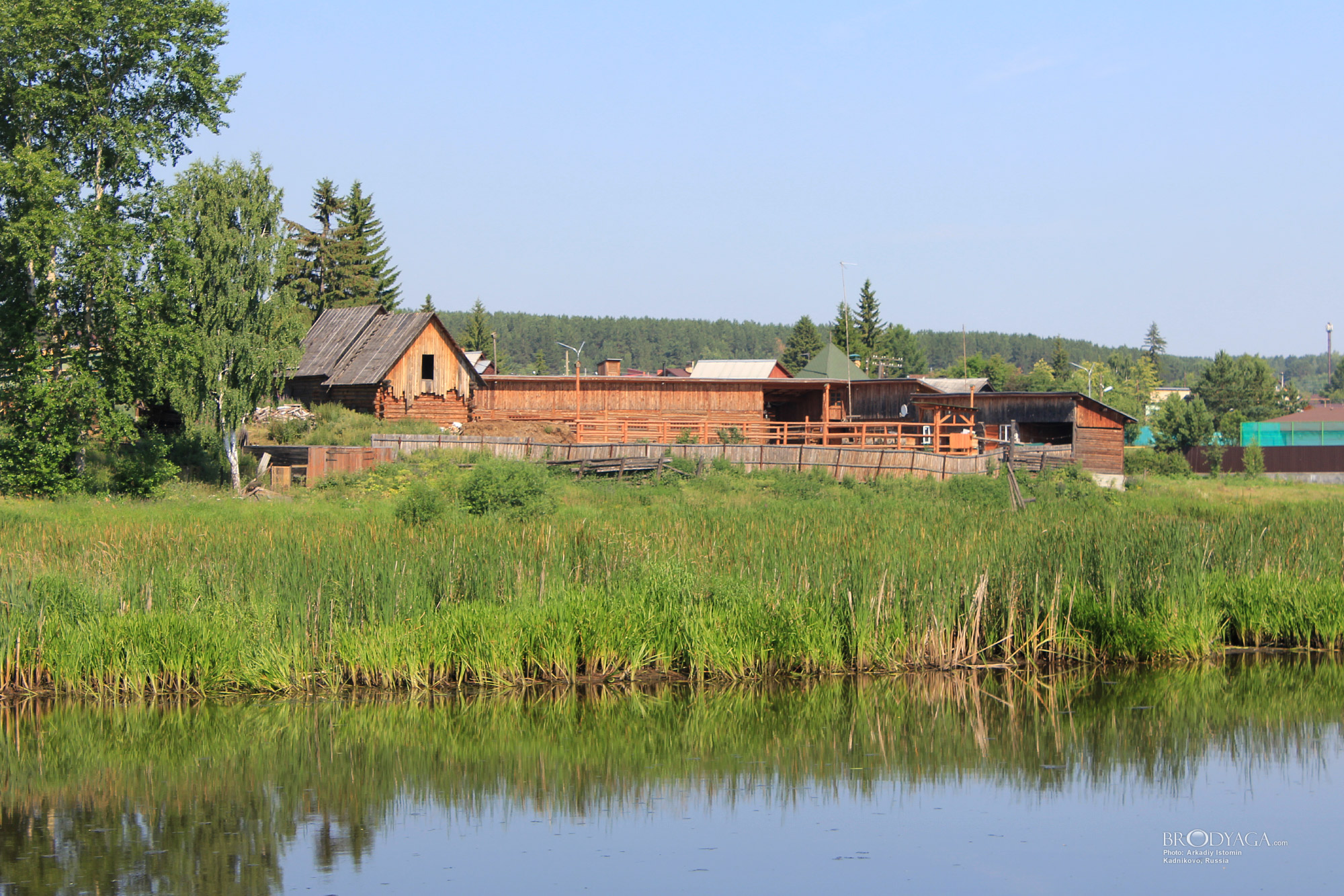 Kadnikovo (Кадниково)